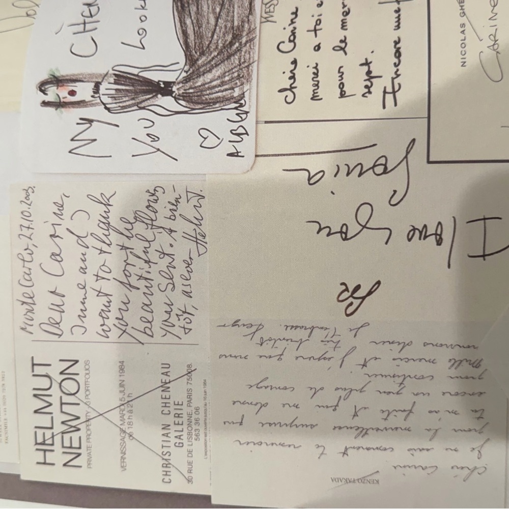 Carine Roitfeld Irreverent Book Set - Picture 14 of 16